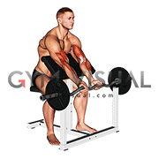 EZ Barbell Close Grip Preacher Curl