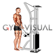 Cable Close Grip Curl
