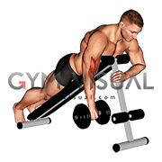 Dumbbell One Arm Reverse Spider Curl
