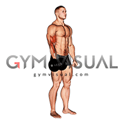 Dumbbell One Arm Standing Curl