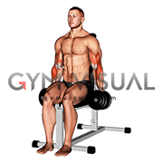 Dumbbell Seated Hammer Curl