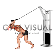 Cable High Pulley Overhead Tricep Extension