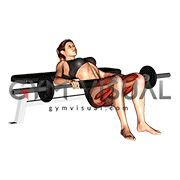 Barbell Hip Thrust (female)