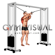 Cable Lat Pulldown Full Range Of Motion