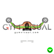 Chest Fly - Arms (WRONG-RIGHT)