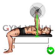 Chest Bench Press - Arms (WRONG-RIGHT)