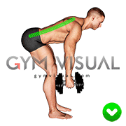 Bent over Row - Back (WRONG-RIGHT)