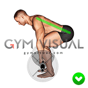 Deadlift - Back (WRONG-RIGHT)