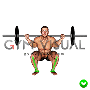 Barbell Squat - Knees - End position (WRONG-RIGHT)