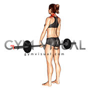 Barbell Shrug (female)