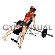 Barbell Reverse Grip Incline Row (female)