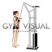 Cable Reverse grip Pushdown (female)