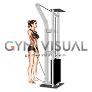 Cable Reverse One Arm Curl (female)