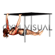 Inverted Row under Table (female)