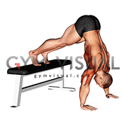 Pike Push up (on Bench) (VERSION 2)