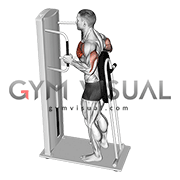 Lever Standing Chest Press