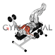 Dumbbell Fly (knees at 90 degrees)