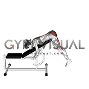 Incline Reverse Hyperextension