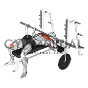 Barbell Bench Press (with hanging band technique)