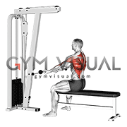 Cable Seated Supine grip Row (male)