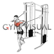 cable chest press