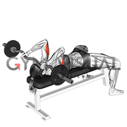 EZ Barbell Lying Triceps Extension (female)