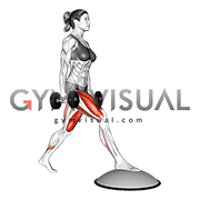 Dumbbell Split Squat Front Foot Elevanted with Bosu Ball (female)
