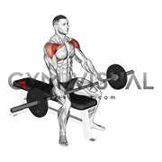Front discount bar raise