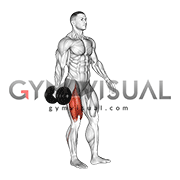 Dumbbell Single Leg Squat (VERSION 2) (male)
