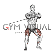 Band Side Step with Horizontal Pallof Hold