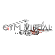 Band Upper Body Lying Air Bike