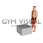 Jump Box Over (male)