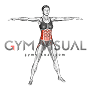 Bodyweight Windmill (female)