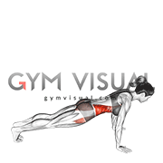 Front to Side Plank (female)