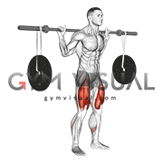 Barbell Squat (with hanging band technique)