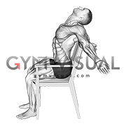 Static Position Seated Back (male)