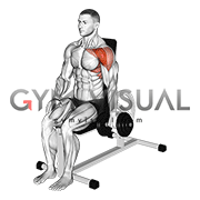 Dumbbell Seated One Arm Front Raise