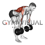 Dumbbell Bent Over Reverse Row