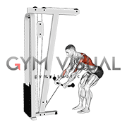 bent over row cable machine