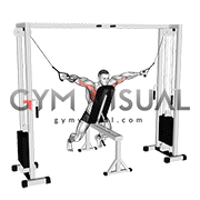 Cable Fly with Chest Supported