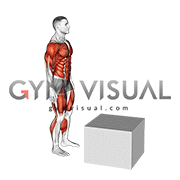 Jump on Fit Box (male)