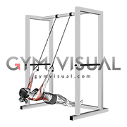 Inverted Row with Straps (female)