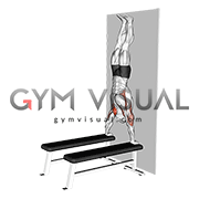 Handstand Shoulder Press with Wall (between benches)