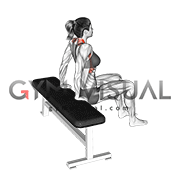 Scapula Dips (female)