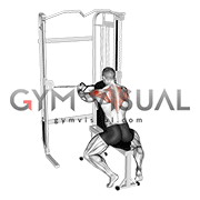 Cable Seated Rear Delt Fly with Chest Support