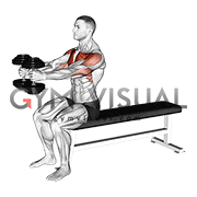 Dumbbell Seated Upright Alternate Squeeze Press