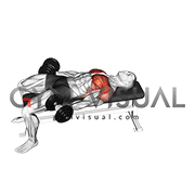 Dumbbell around sales the world chest