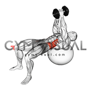 Dumbbell Russian Twist (on stability ball)
