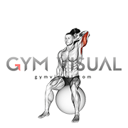 Dumbbell One Arm Triceps Extension on Stability Ball