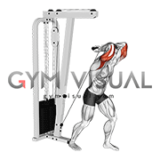 Cable Overhead Tricep Extension Straight Bar (male)